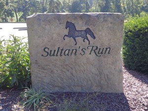 DSC03126 Sultans Run DS