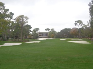 DSC03797 Copperhead Par 4 18th DS