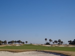 DSC03873 Palmetto Dunes Jones Course 10th hole DS