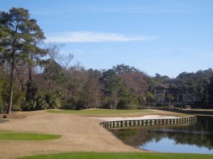 DSC03880 Palmetto Dunes Hills course par 3 3rd DS