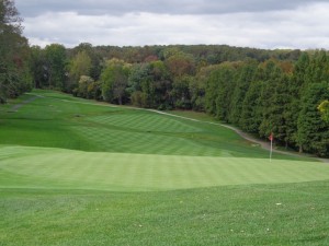 DSC03196 Rolling Green par 4 8th DS