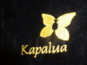 DSC06356 kapalua logo DS