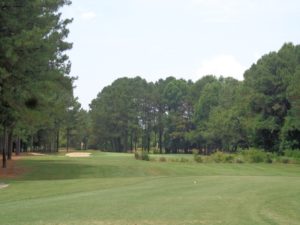 DSC06885 The par 3 second hole on the Norman course DS